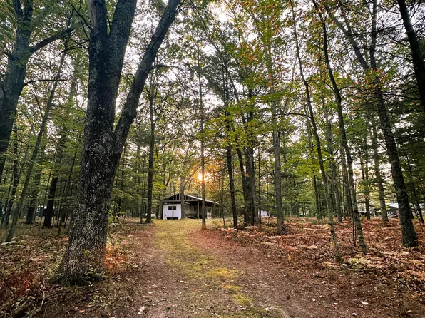 8751 N Squaw Lake Rd, Irons, MI 49644