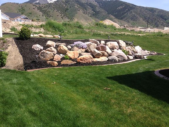 Backyard landscaping
