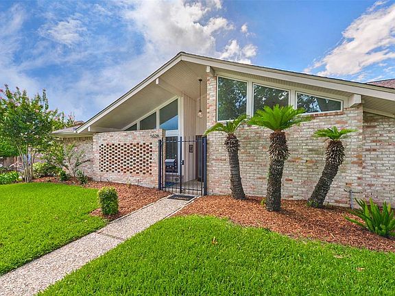 Fresh mulch - and the palms are making a comeback after the freeze!