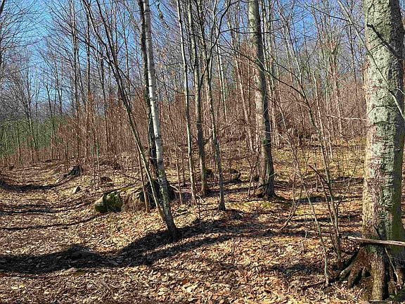 4th image of Lot 1 Marshall Road