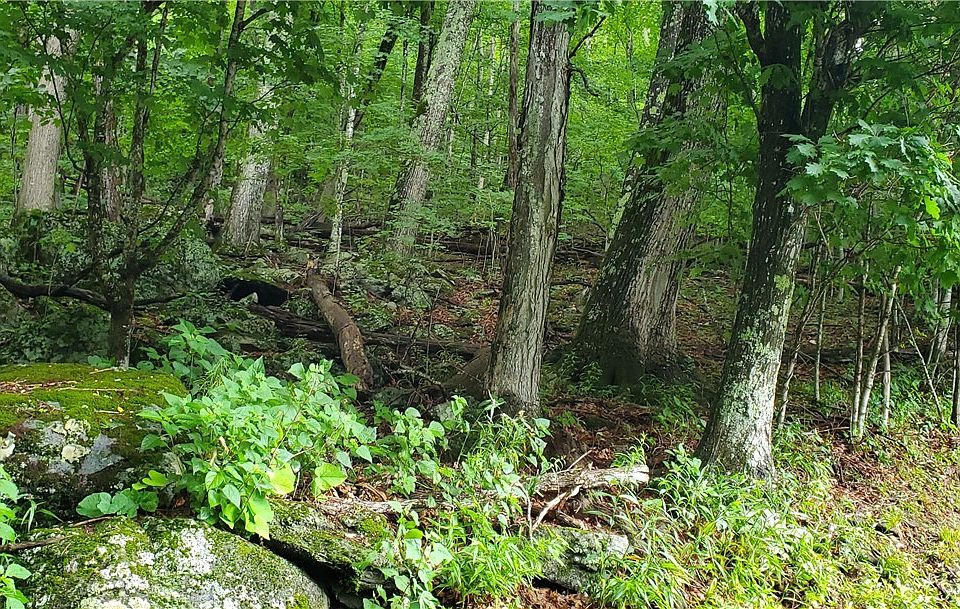 1st image of TBD Thorncliff Drive