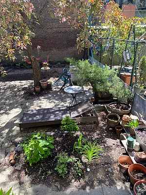 Rented by Compass | media 15