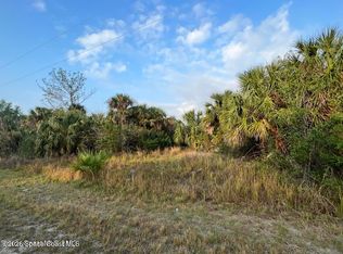2044 Alwar Ave SW, Palm Bay, FL 32908