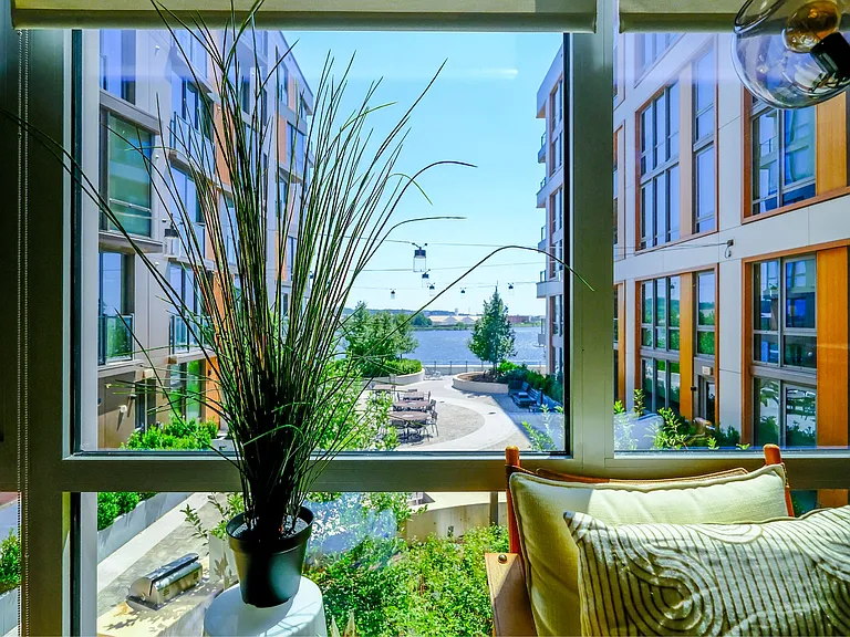 Riverpoint — Photo 46