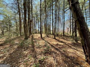 93 Fox Lake Rd, Blairsville, GA 30512