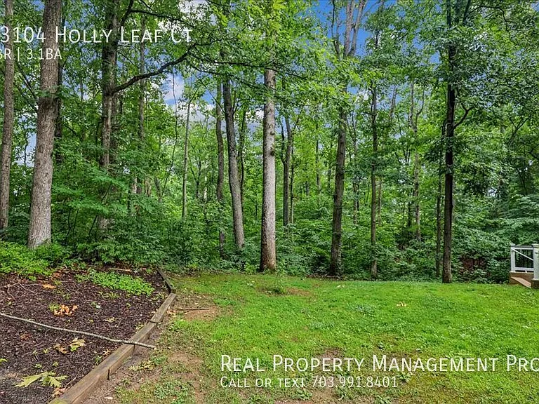 13104 Holly Leaf Ct — Photo 12
