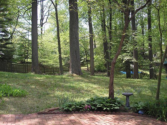 VIEW OF BACKYARD