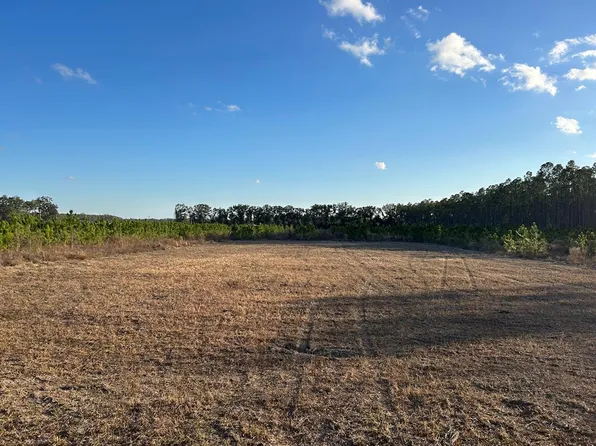  10th St, Bell, FL 32619