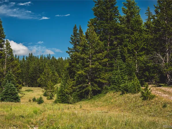 5347 Monitor, Leadville, CO 80461