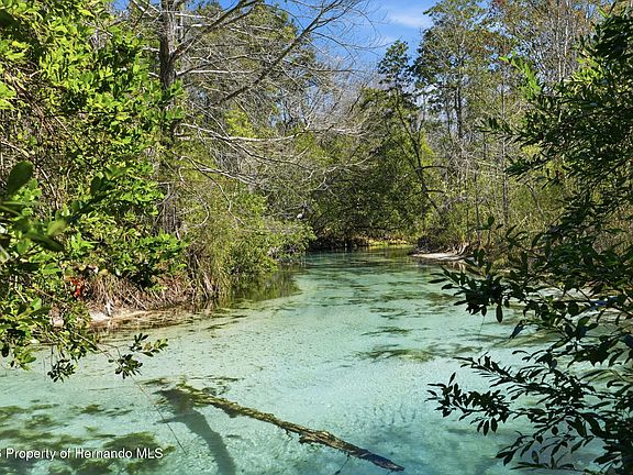 5th image of 7275 Crystal Spring Run