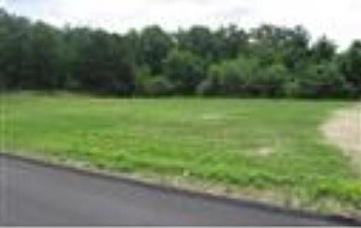 2nd image of 10 Jungle Rd
