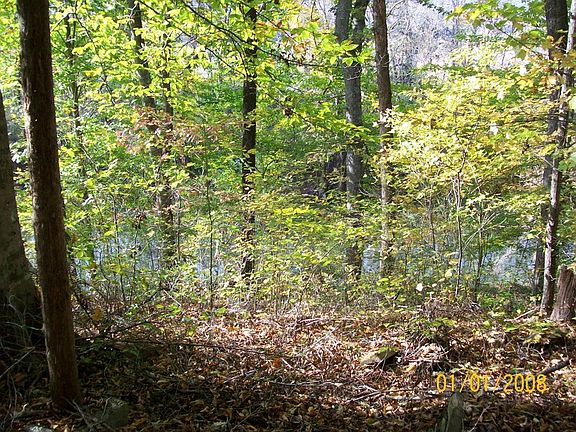 3rd image of 1189 Knotty Pine Rd
