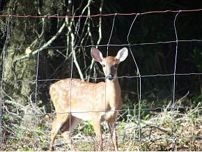 2nd image of 4594 E Hogg Heaven Ct