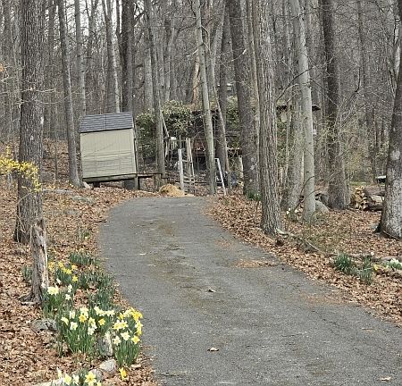 2nd image of 20 Wishing Well Rd