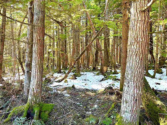 4th image of Small Tracts Road Small Tracts Rd #3138