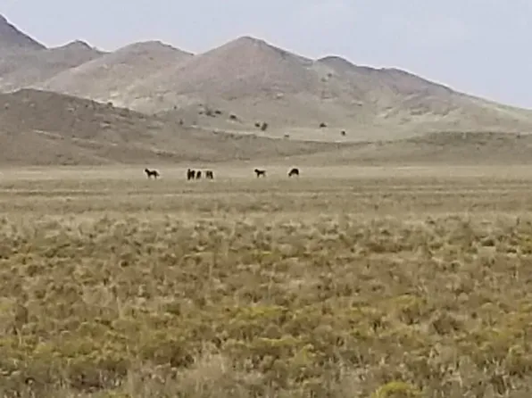 866th #0, Beryl, UT 84714