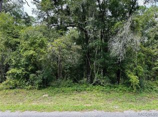 9036 N Lily Dr, Citrus Springs, FL 34434