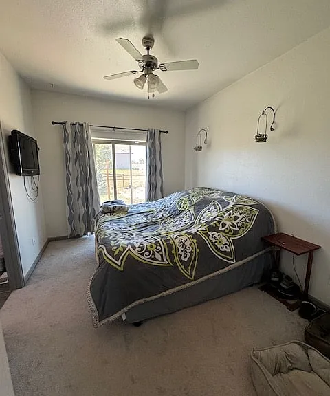 54 Paradise Dr — Photo 7