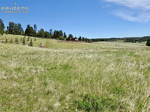 3rd image of 307 Pinaceae Hts