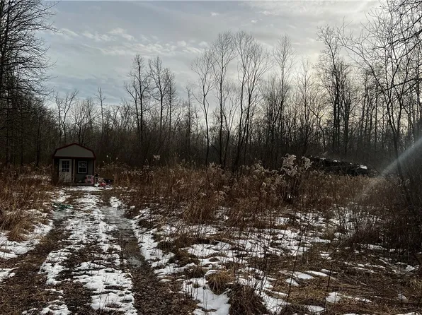 5465 Herner County Line Rd, Southington, OH 44470