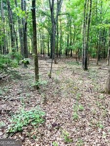 0 Sewell Mill Rd, Danielsville, GA, 30633