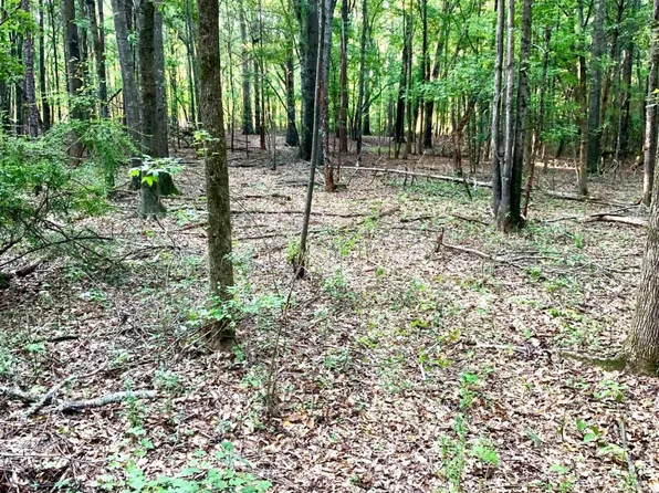 0 Sewell Mill Rd, Danielsville, GA 30633