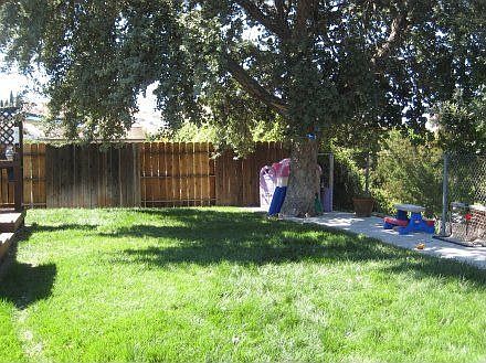 Massive Back Yard