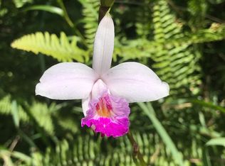 19 Naia St LOT 28, Mountain View, HI 96771