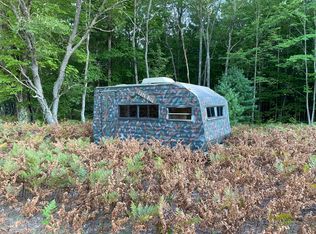 Healy Lake Rd, Bear Lake, MI 49614
