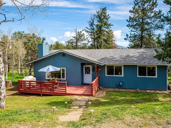 113 Bluebird Lane, Bailey, CO 80421