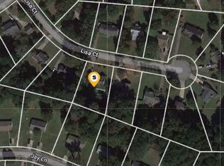 207 Lisa Ct, Hampton, GA 30228