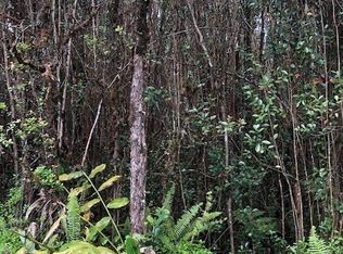 11-1802 111802nd, Mountain View, HI 96771