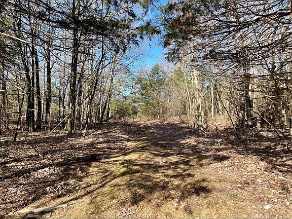 3rd image of 3536 Bellview Rd