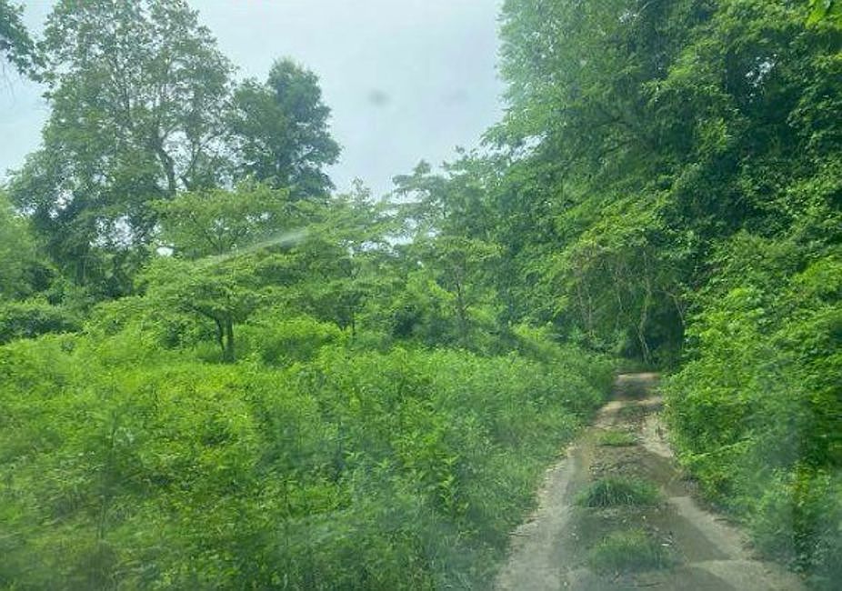 2nd image of 444 Rockaway Rd