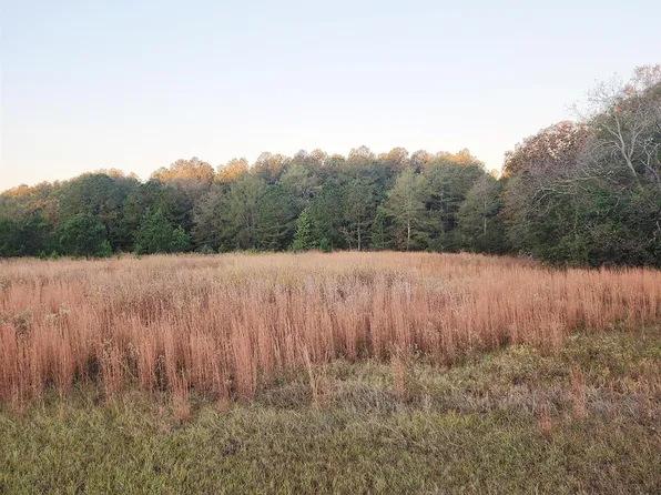 Tractc 1b &c1a Kersey Rd, Elko, GA 31025