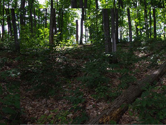4th image of Lot #78 The Reserve At Boyne Mountain #Lot #78