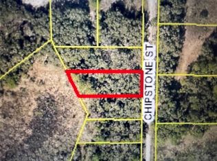 Chipstone St LOT 8, Webster, FL 33597