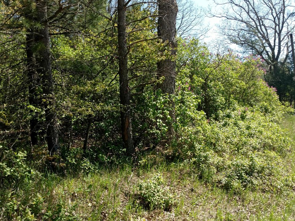 2nd image of 175 Avenue