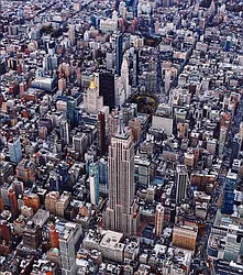 Rented by Bold New York