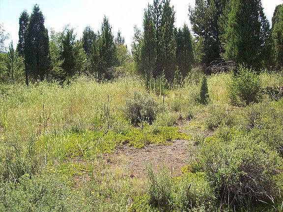 5th image of 690 W Highway 30