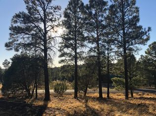 2271 Constellation Dr, Overgaard, AZ 85933