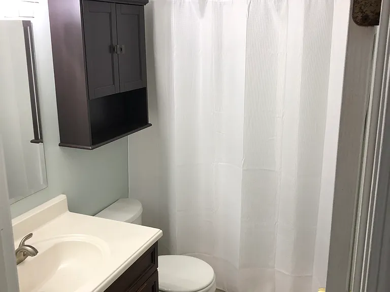 3202 Pine Forest Ct — Photo 8