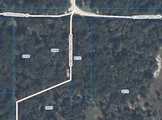 6212 E Turkey Trail Dr, Hernando, FL 34442
