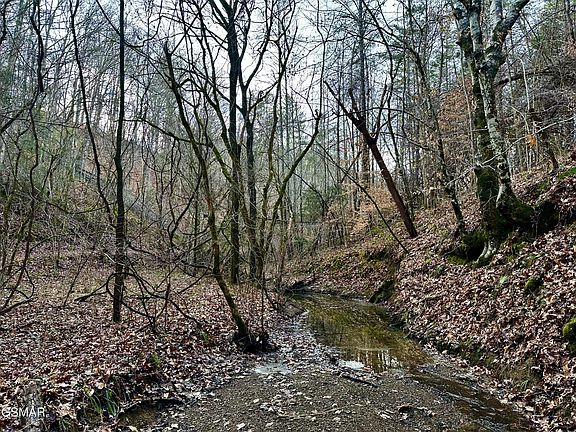 3rd image of 0 Leatherwood Rd