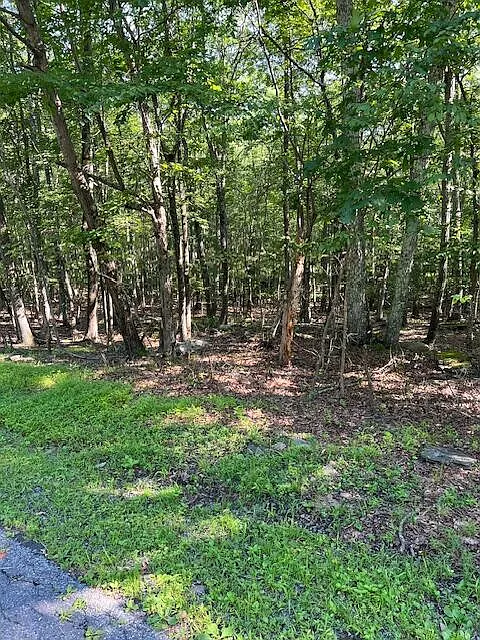 Pocono Forested Dr #22 photo 1
