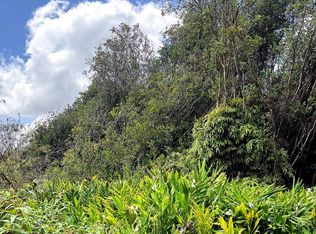 Mountain View Pl, Mountain View, HI 96771