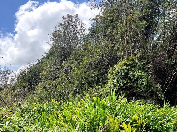 Mountain View Pl Lot 13, Mountain View, HI 96771