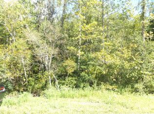 Green Rd, Middleburg, FL 32068