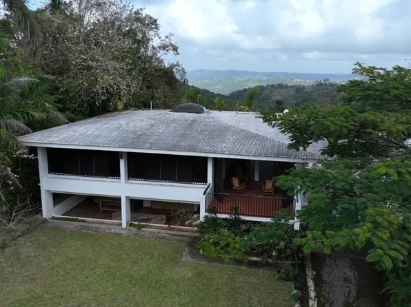 0 Hacienda Iberia Barrio Bartolo Pr #431, Lares, PR 00669