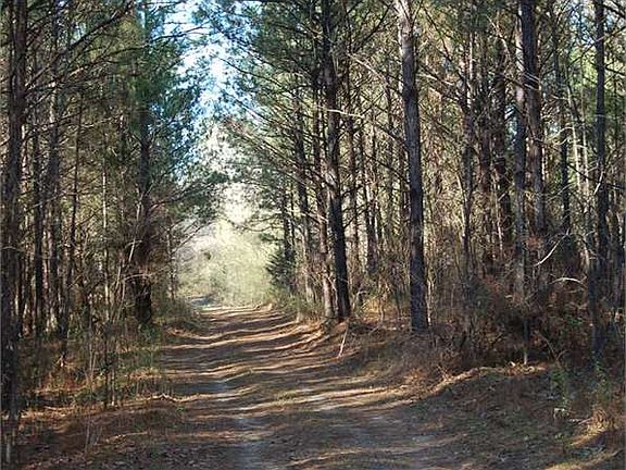 3rd image of 2873 Highway 143